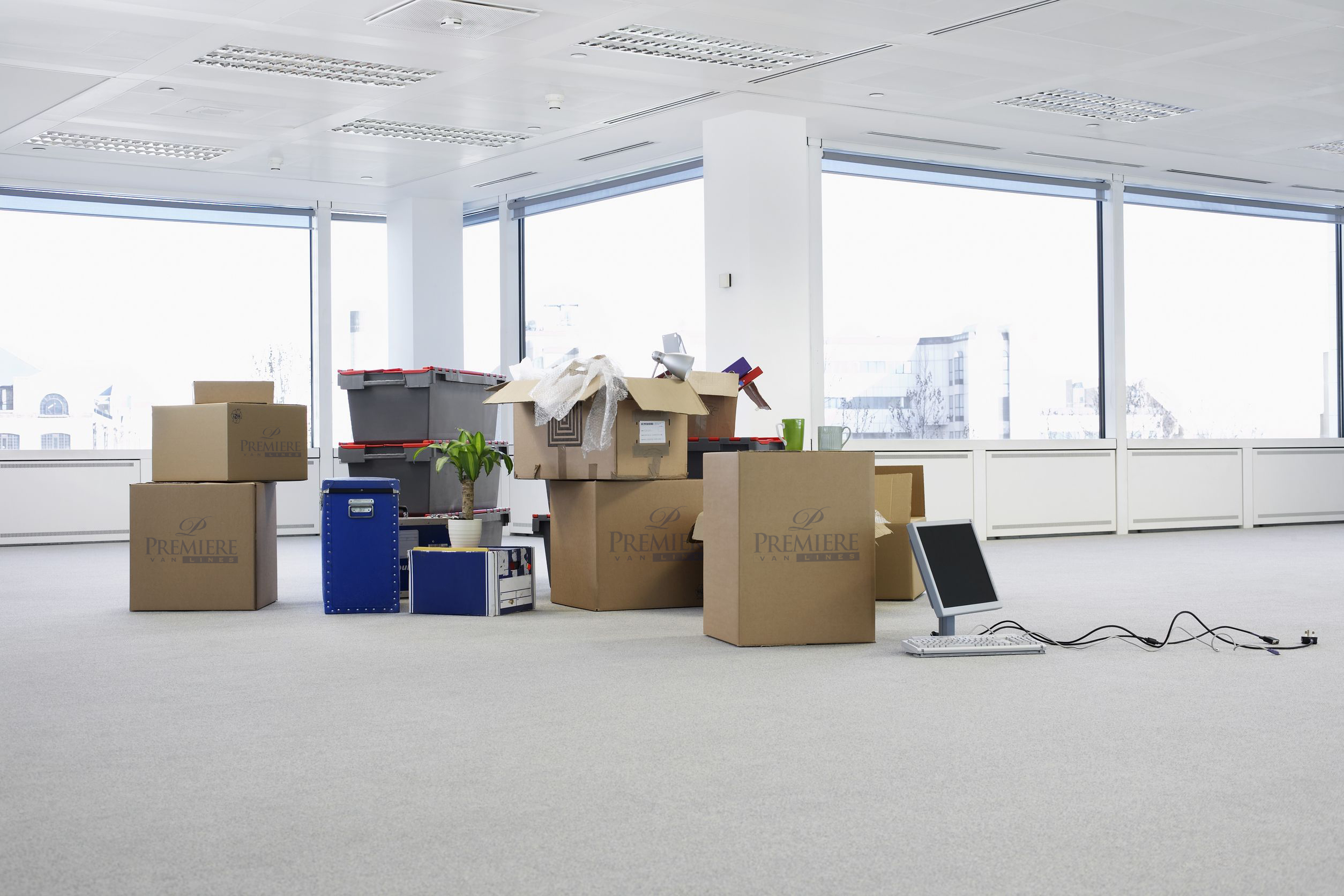 Packing & Unpacking - Cypress, TX