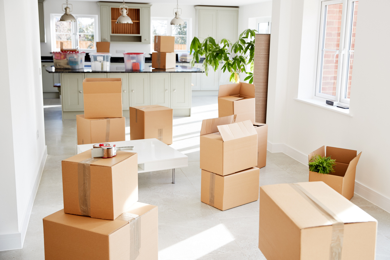 Packing & Unpacking - Cypress, TX