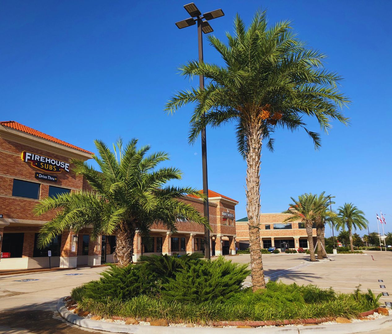 8484 Will Clayton Pkwy, Humble, TX